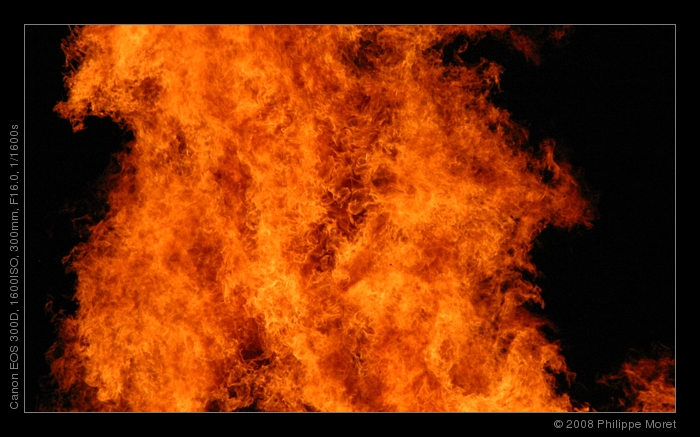11 Jun 08