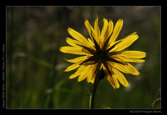 12 Jun 08