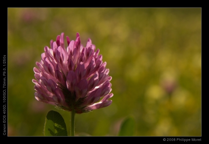 12 Jun 08