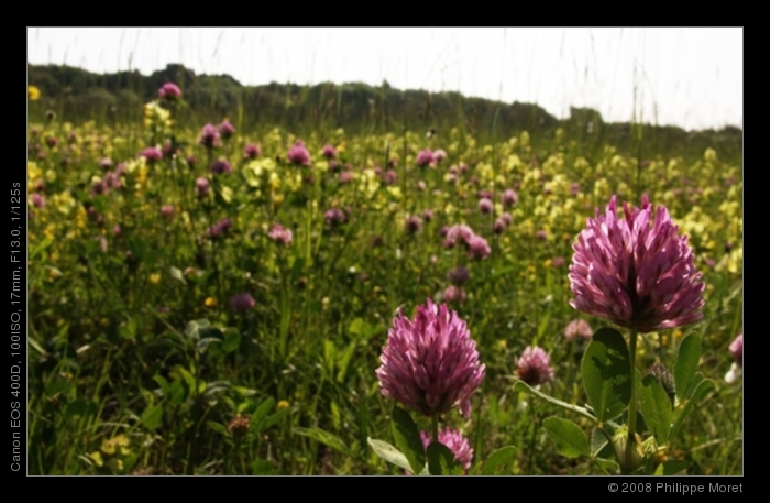 12 Jun 08